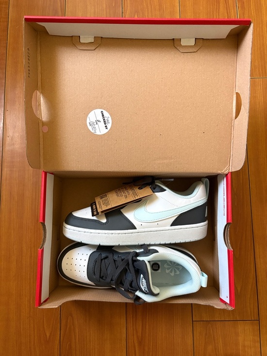 Nike Other - NWT Kids Nike shoes